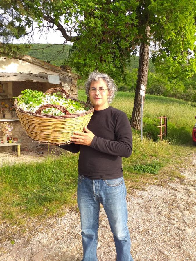 Frühstückspension Il Sentiero Nel Bosco Foligno
