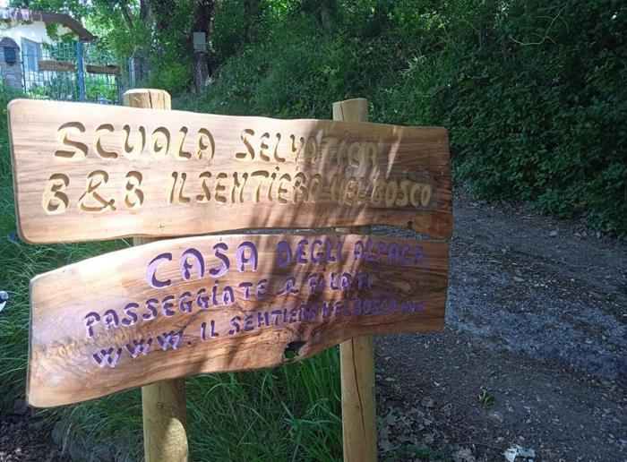 Bed & Breakfast Il Sentiero Nel Bosco