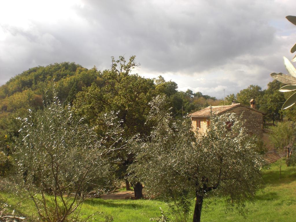 Il Sentiero Nel Bosco
