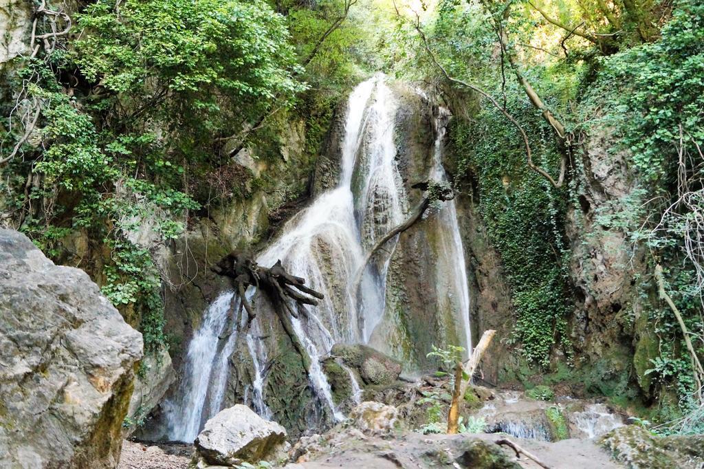 Il Sentiero Nel Bosco Foligno